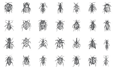 bugs and insects icon bundle - obrazy, fototapety, plakaty