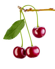 Cherry bunch with leaves, isolated on a white background.