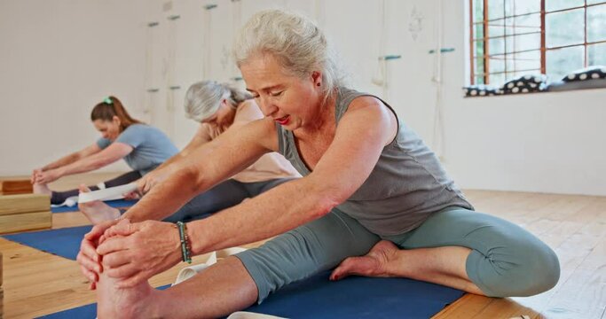Senior woman, group and stretching with yoga class for zen, health and wellness together. Elderly people or yogi in pilates, training or workout for exercise, fitness or flexibility in warm up on mat