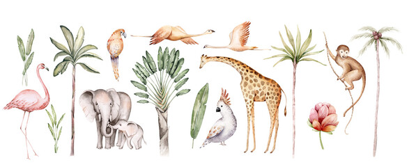 Watercolor illustration of African Animals: elephant and monkey, cockatoo, wild parrot and giraffe, flamingo isolated white background. Safari savannah animals. - 772759751