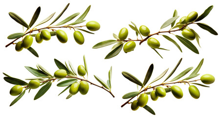 Set of olive branches with ripe and delicious olives, cut out - obrazy, fototapety, plakaty