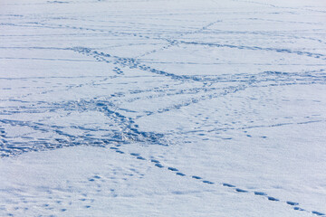 Traces of people on white snow as a background