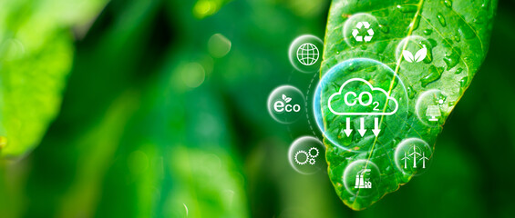 Reduce CO2 emission concept in the hand for environmental, global warming, Sustainable development...