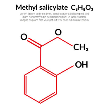 Methyl salicylate (wintergreen oil) C8H8O3 molecular structure formula, suitable for education or chemistry science content. Vector illustration