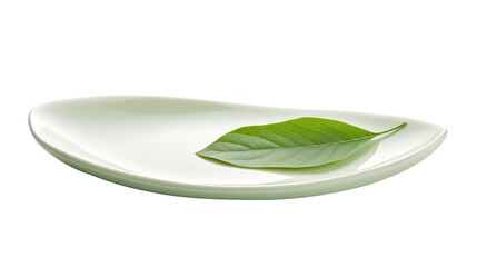 Serenity on Porcelain: White Plate Adorned With a Vibrant Green Leaf. On a Clear PNG or White Background. - Powered by Adobe