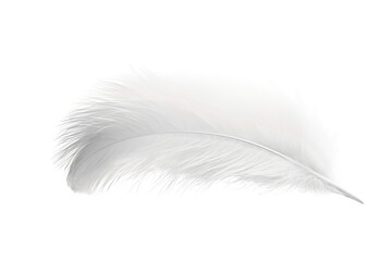Ethereal White Feather Floating on Pure White Background. On a Clear PNG or White Background.
