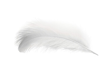 Obraz premium Ethereal White Feather Floating on Pure White Background. On a Clear PNG or White Background.