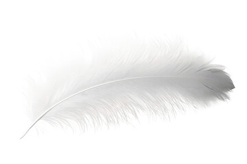 Ethereal Dance Of A White Feather. On a Clear PNG or White Background.