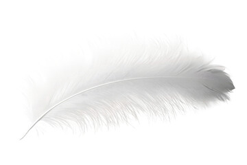 Obraz premium Ethereal Dance Of A White Feather. On a Clear PNG or White Background.
