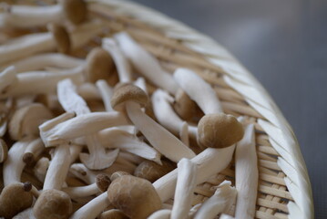 Shimeji mushroom has a higher nutritional value.