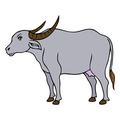 carabao vector illustration