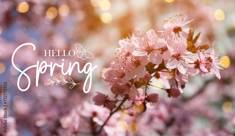 Wall mural banner with text hello spring and blossoming tree