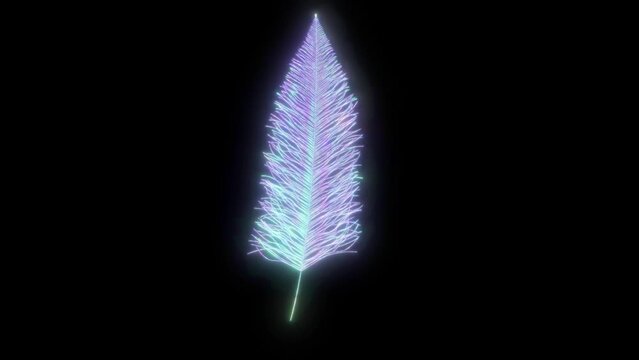 Glow feather blink star on black able to loop endless 4k