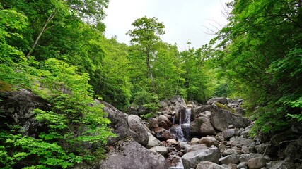 Beautiful scenery of Jiri Mountain in Korea