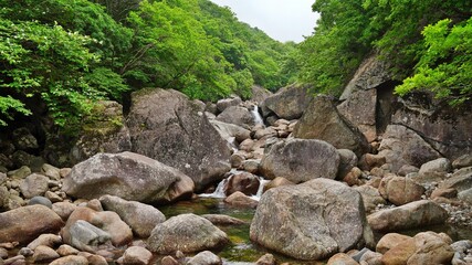 Beautiful scenery of Jiri Mountain in Korea