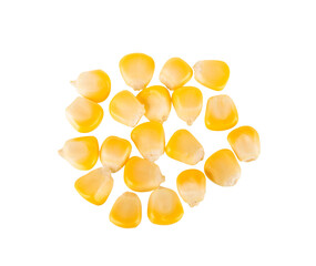 Fototapeta premium Sweet corn seeds isolated on transparent background. PNG
