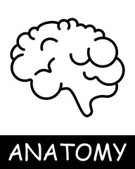 Brain line icon. Neurotransmitters, gray matter, thinking, anatomy, medicine, teaching, doctor, nurse, human, body, physiology. Vector line icon for business and advertising