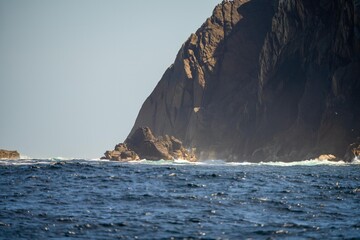 shy albatross and other sea birds feeding and flying over the ocean at the  south west cape in...