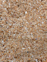 Surface of sand gravel and small fragments of broken shells on beach - 772792104