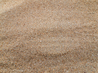 Surface of sand gravel and small fragments of broken shells on beach - 772792115