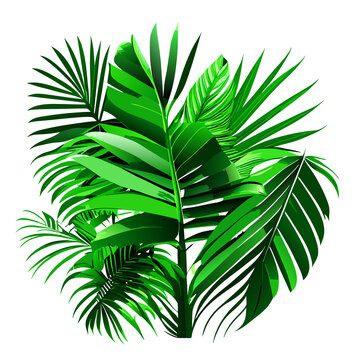 Palm Tree clip art preview