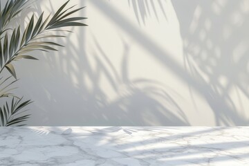 White Marble Table With Palm Tree Shadow
