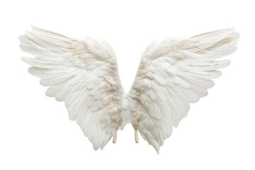 Two White Angel Wings on a White Background