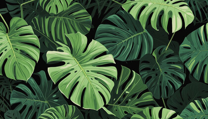 tropical monstera leaves on forest colorful background