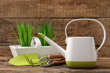 Watering can with gardening tools on wooden background