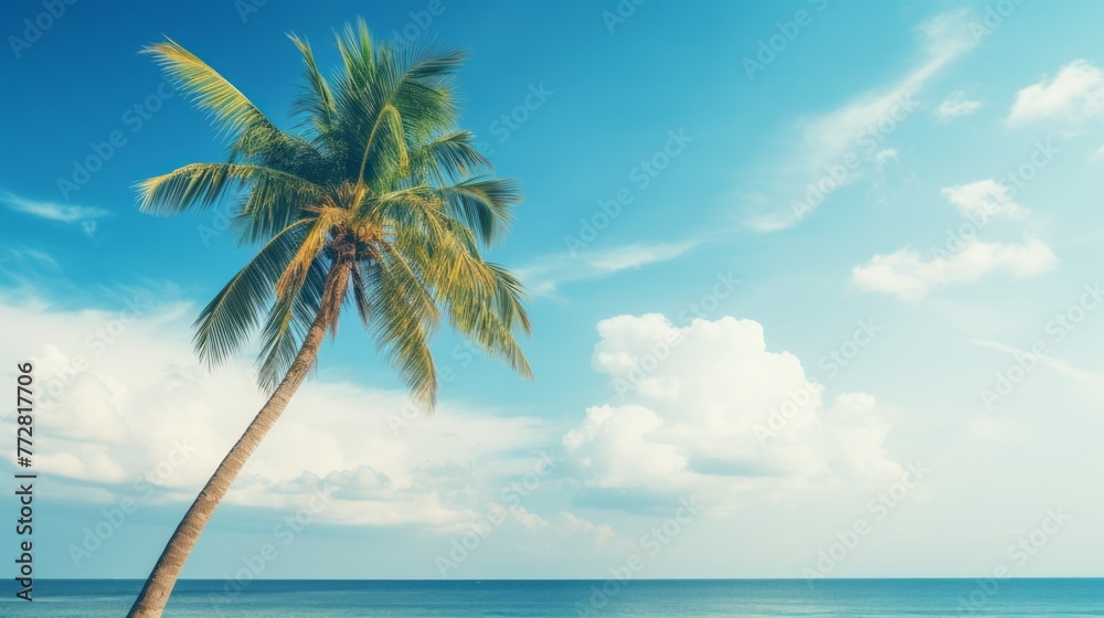 Poster a palm tree is standing tall in front of a blue ocean