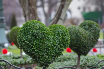 Rolgordijnen heart topiary in a public city garden © studioworkstock