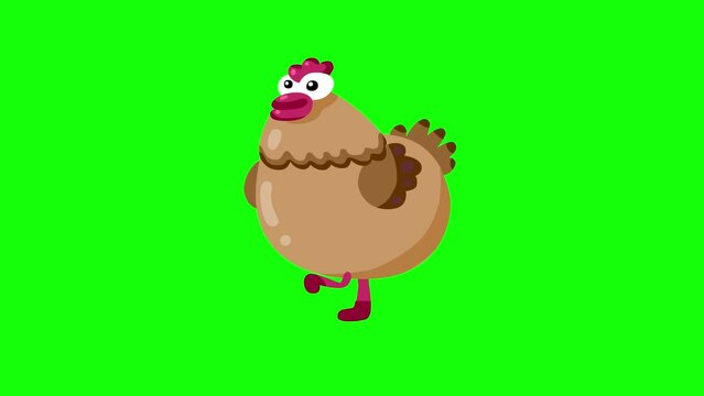 Cartoon hen walking greenbox isolated. Farm animal loop good for any project.