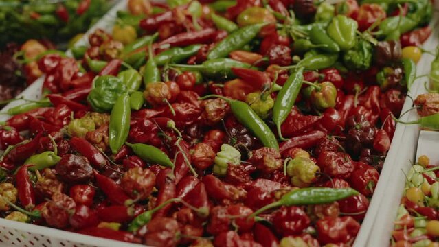 Closeup on heap of red chili peppers in box at food market. Ripe fresh peppers for sale outdoors. Natural organic vegetable