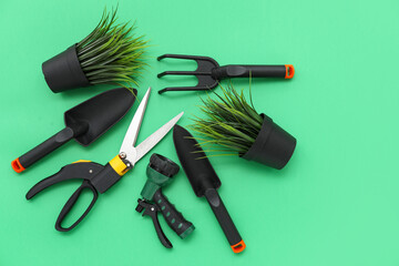Plants in pots and gardening tools on green background