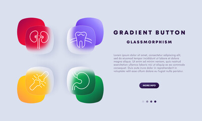 Organs icon set. Kidneys, tooth, bone connections, joints, stomach, flat design, gradient button, health care, health. Medical research concept. Glassmorphism style.