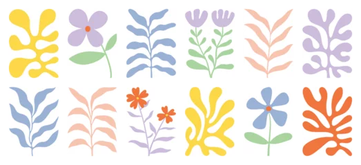 Fototapete Höhenskala Botanical doodle background vector set. Flower and leaves abstract shape doodle art design for print, wallpaper, clipart, wall art for home decoration.