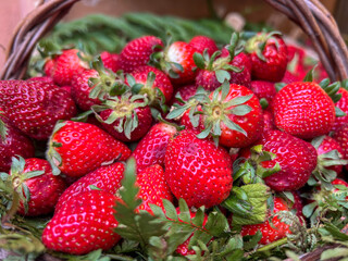 strawberries in a basket