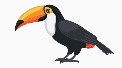 Cartoon toucan isolated on white background flat vector