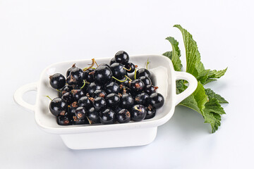 Juicy black currant berries in the bowl