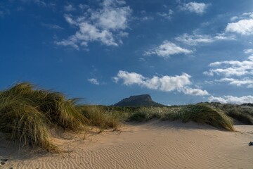 sand dunes and grass at Cala Mesquida in Majorca under a blue sky with white clouds
