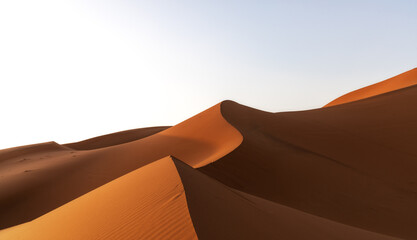 Fototapeta na wymiar view of the sand dunes at Erg Chebbi in Morocco in warm evening light