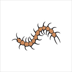 Vector brown centipede on white background 
