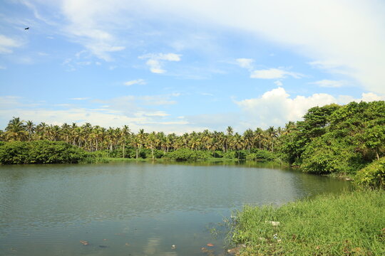 A wonder view of Poovar Island with backwaters, mangroves and coconut trees, Trivandrum