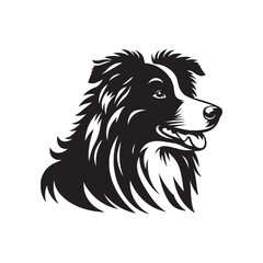 Elegant Vector Border Collie Dog Silhouette Showcasing Graceful Canine Profile in Artistic Detail- Border collie Vector Stock.