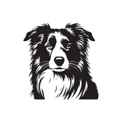 Elegant Vector Border Collie Dog Silhouette Showcasing Graceful Canine Profile in Artistic Detail- Border collie Vector Stock.