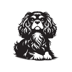 Elegant Cavalier King Charles Spaniel Silhouette, Vector Dog Breed Illustration, Graceful Pet Profile- Cavalier King Charles Spaniel black vector stock
