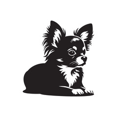 Chihuahua Dog Silhouette Vector: Tiny, Elegant, Expressive Breed Profile in Minimalist Graphic Design- Chihuahua black vector stock.