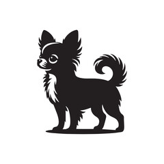 Chihuahua Dog Silhouette Vector: Tiny, Elegant, Expressive Breed Profile in Minimalist Graphic Design- Chihuahua black vector stock.