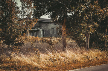Abandoned house.