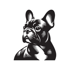 French Bulldog Silhouette: Elegant Canine Profile Design in Vector Illustration- French Bulldog Black Vector stock